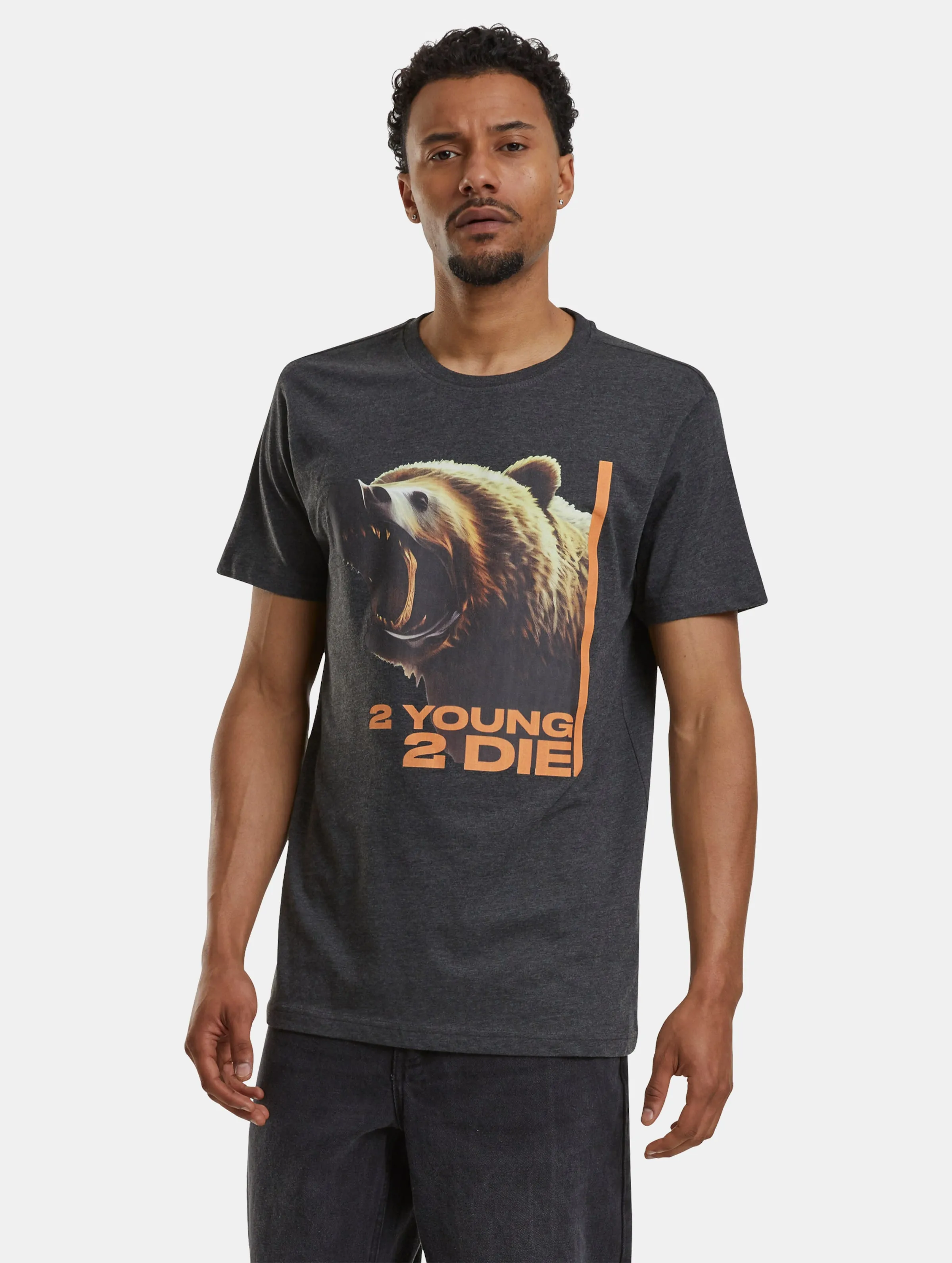 Mister Tee 2 Young 2 Die